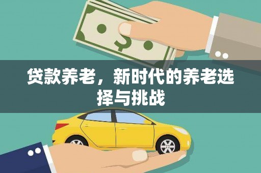 八里贷款养老，新时代的养老选择与挑战