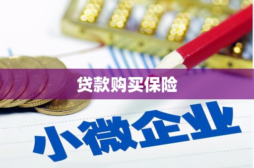 八里贷款购买保险
