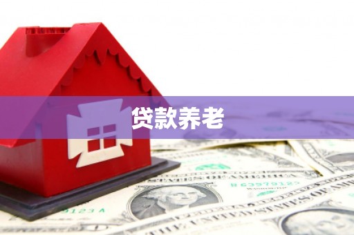 八里贷款养老
