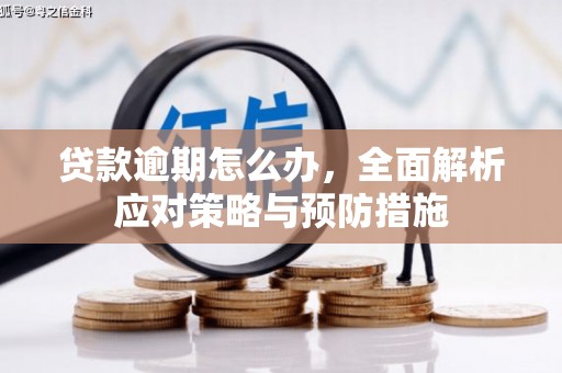 八里贷款逾期怎么办，全面解析应对策略与预防措施