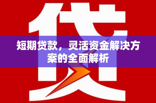 八里短期贷款，灵活资金解决方案的全面解析