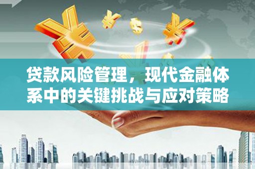 八里贷款风险管理，现代金融体系中的关键挑战与应对策略