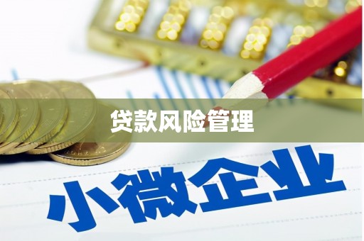 八里贷款风险管理