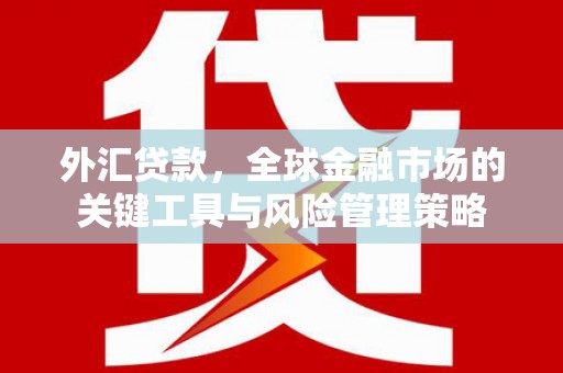 八里外汇贷款，全球金融市场的关键工具与风险管理策略