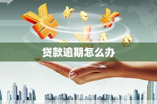八里贷款逾期怎么办