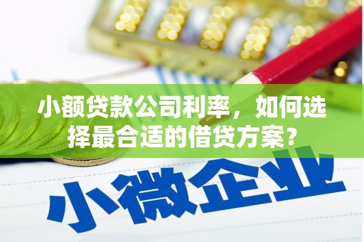 八里小额贷款公司利率，如何选择最合适的借贷方案？