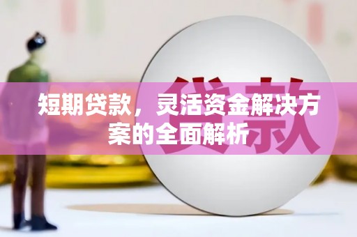 八里短期贷款，灵活资金解决方案的全面解析