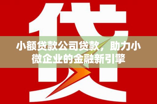 八里小额贷款公司贷款，助力小微企业的金融新引擎