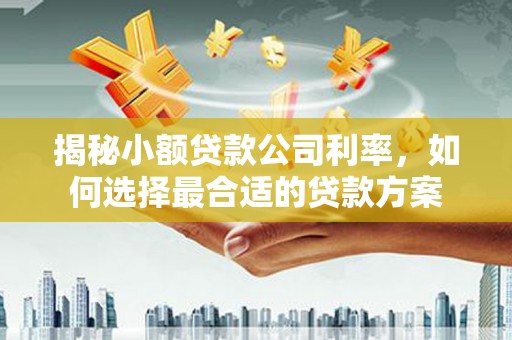 八里揭秘小额贷款公司利率，如何选择最合适的贷款方案