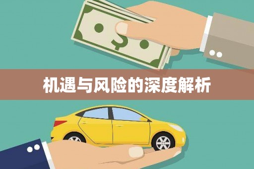 八里机遇与风险的深度解析