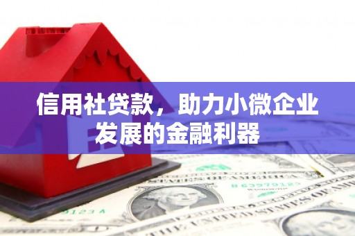 八里信用社贷款，助力小微企业发展的金融利器