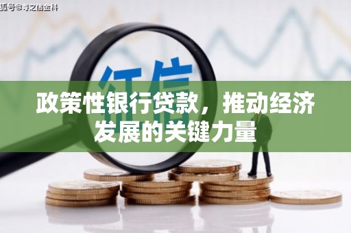 八里政策性银行贷款，推动经济发展的关键力量