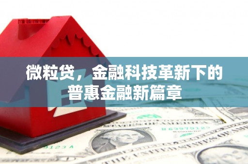 八里微粒贷，金融科技革新下的普惠金融新篇章