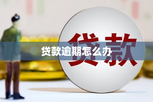 八里贷款逾期怎么办