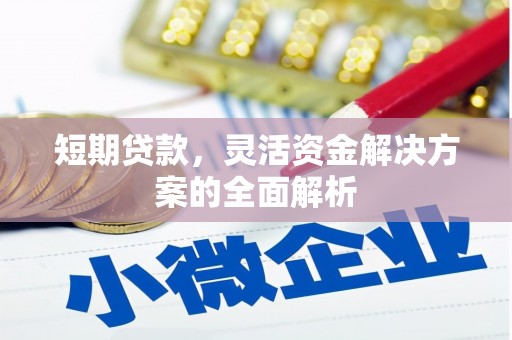 八里短期贷款，灵活资金解决方案的全面解析