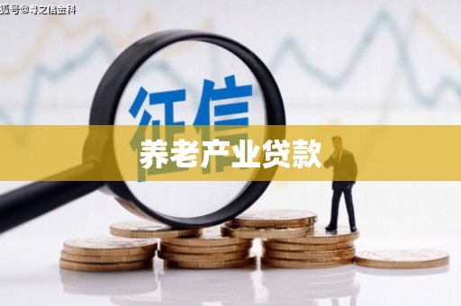八里养老产业贷款