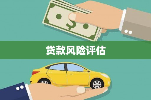 八里贷款风险评估