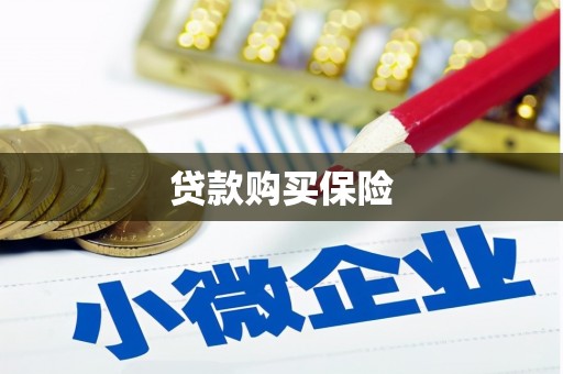 八里贷款购买保险