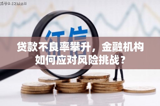 八里贷款不良率攀升，金融机构如何应对风险挑战？