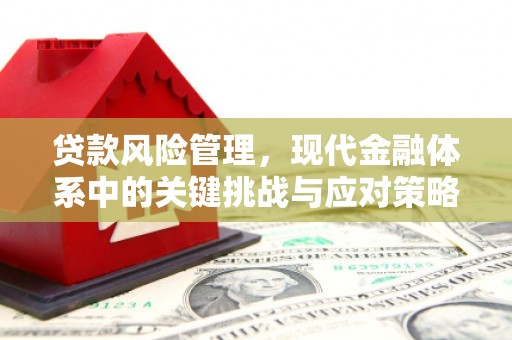 八里贷款风险管理，现代金融体系中的关键挑战与应对策略
