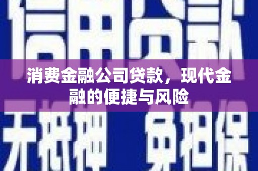 八里消费金融公司贷款，现代金融的便捷与风险