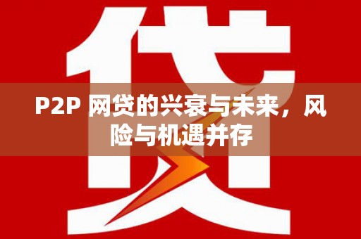 八里P2P 网贷的兴衰与未来，风险与机遇并存