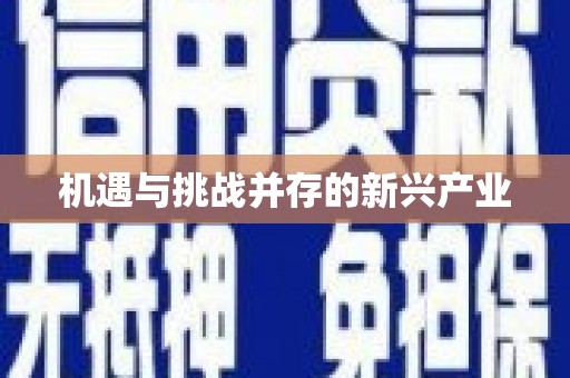八里机遇与挑战并存的新兴产业