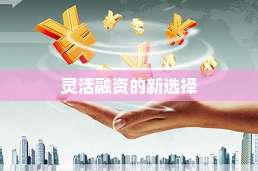 八里灵活融资的新选择