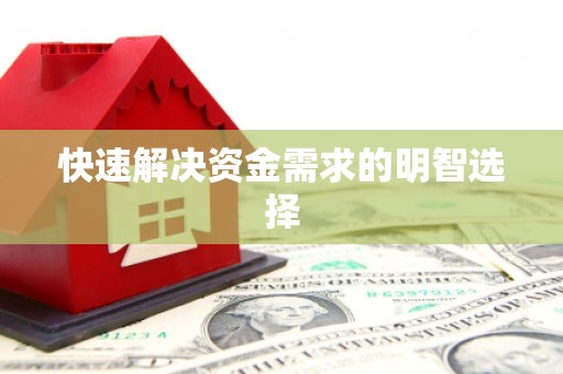 八里快速解决资金需求的明智选择