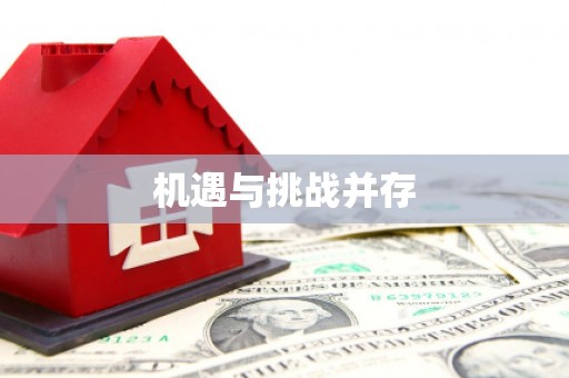 八里机遇与挑战并存 八里机遇与挑战并存