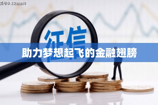 八里助力梦想起飞的金融翅膀