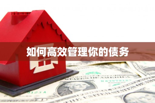 八里如何高效管理你的债务
