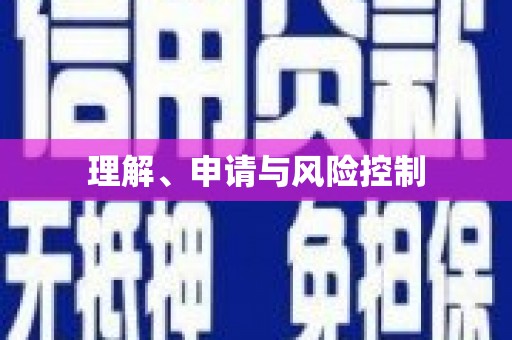 八里理解、申请与风险控制