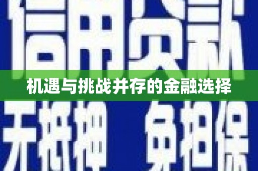 八里机遇与挑战并存的金融选择