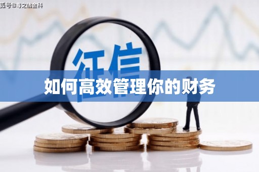 八里如何高效管理你的财务