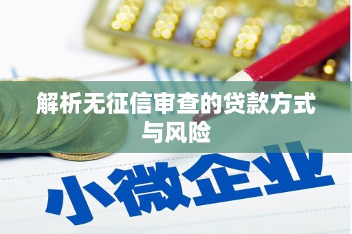 八里解析无征信审查的贷款方式与风险
