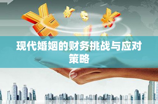八里现代婚姻的财务挑战与应对策略