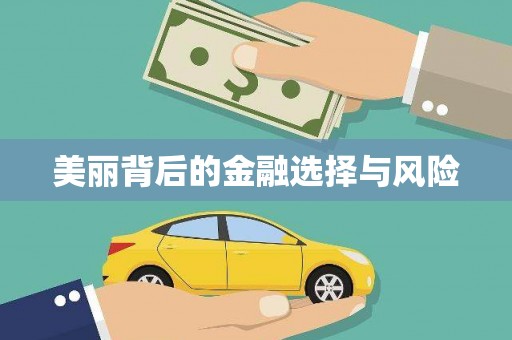 八里美丽背后的金融选择与风险