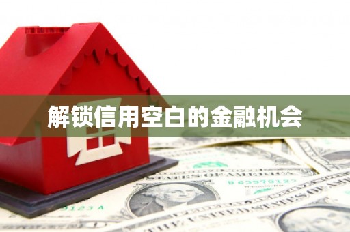 八里解锁信用空白的金融机会