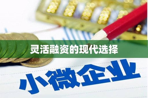 八里灵活融资的现代选择