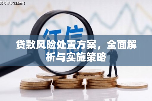 八里贷款风险处置方案，全面解析与实施策略