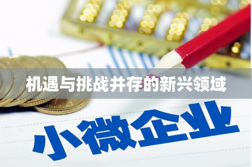 八里机遇与挑战并存的新兴领域