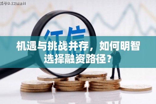 八里机遇与挑战并存，如何明智选择融资路径？