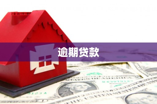 八里逾期贷款