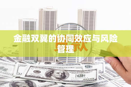 八里金融双翼的协同效应与风险管理