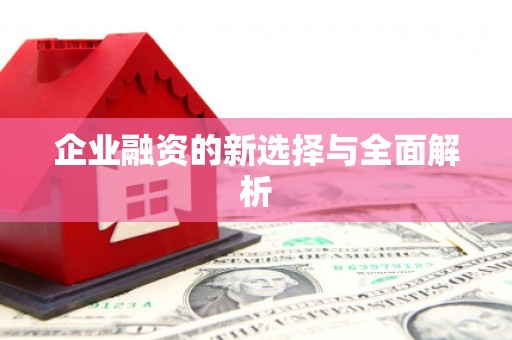 八里企业融资的新选择与全面解析