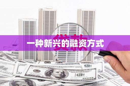 八里一种新兴的融资方式