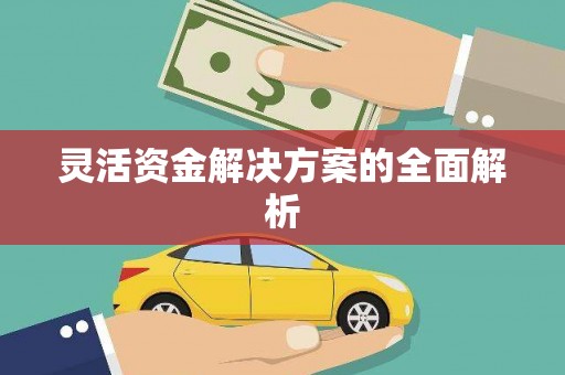 八里灵活资金解决方案的全面解析