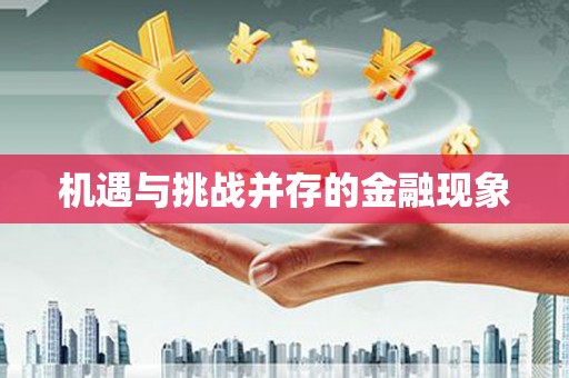 八里机遇与挑战并存的金融现象