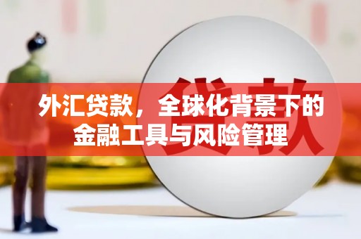 八里外汇贷款，全球化背景下的金融工具与风险管理